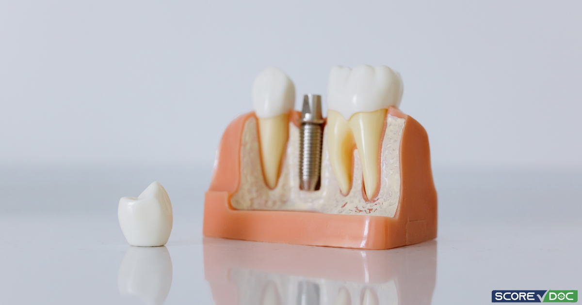 Dental Orthodontics Clinics