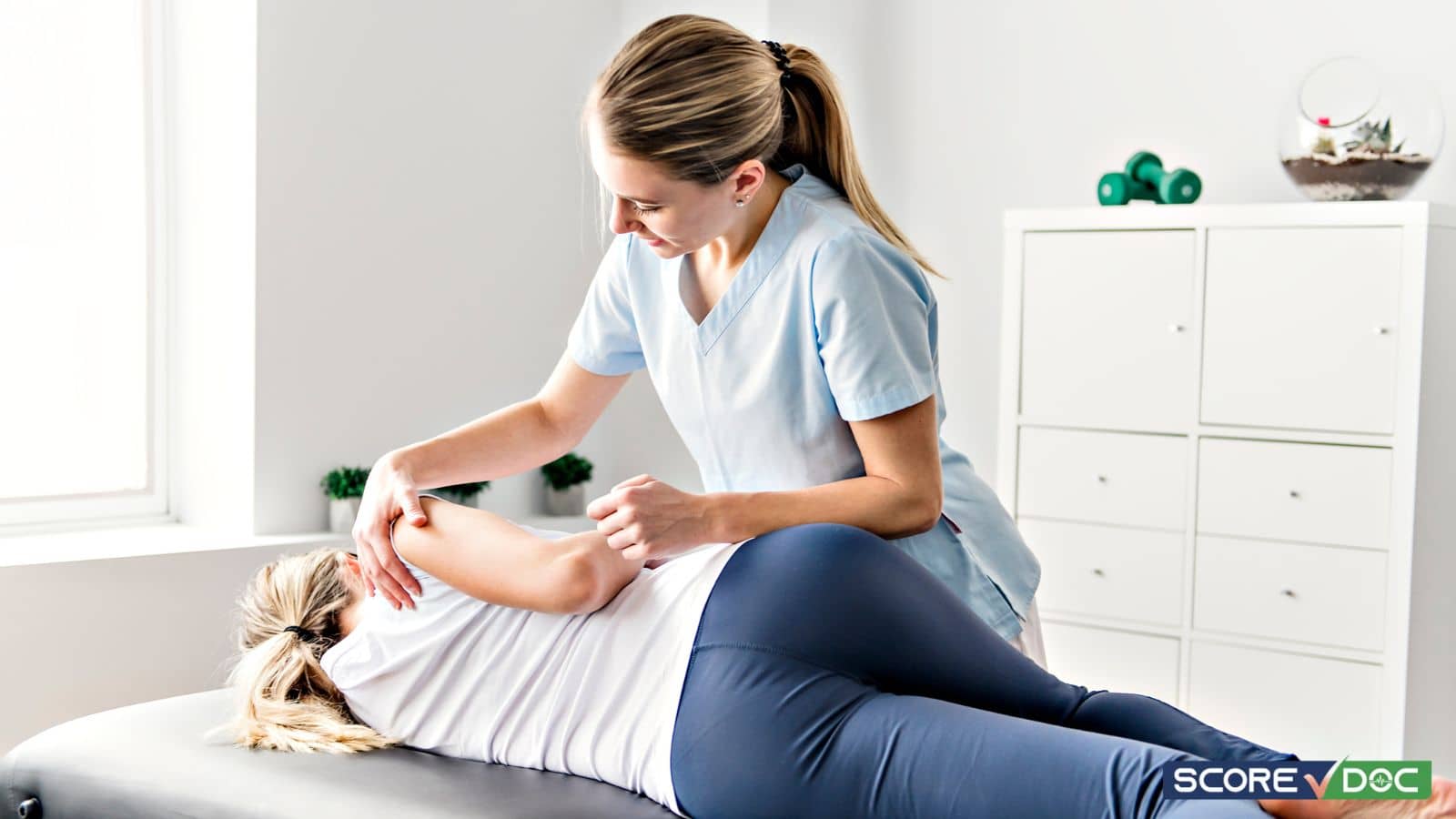 Top-Rated Chiropractors in Toms River, NJ