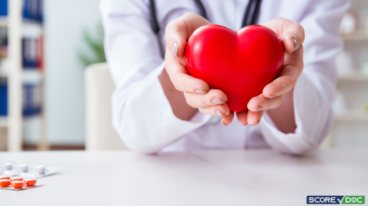 5 highly-Rated Cardiologists in Orlando, FL 