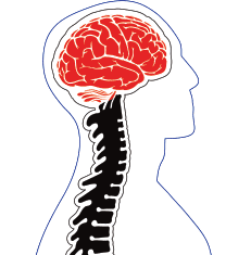 North Texas Brain And Spine Specialists