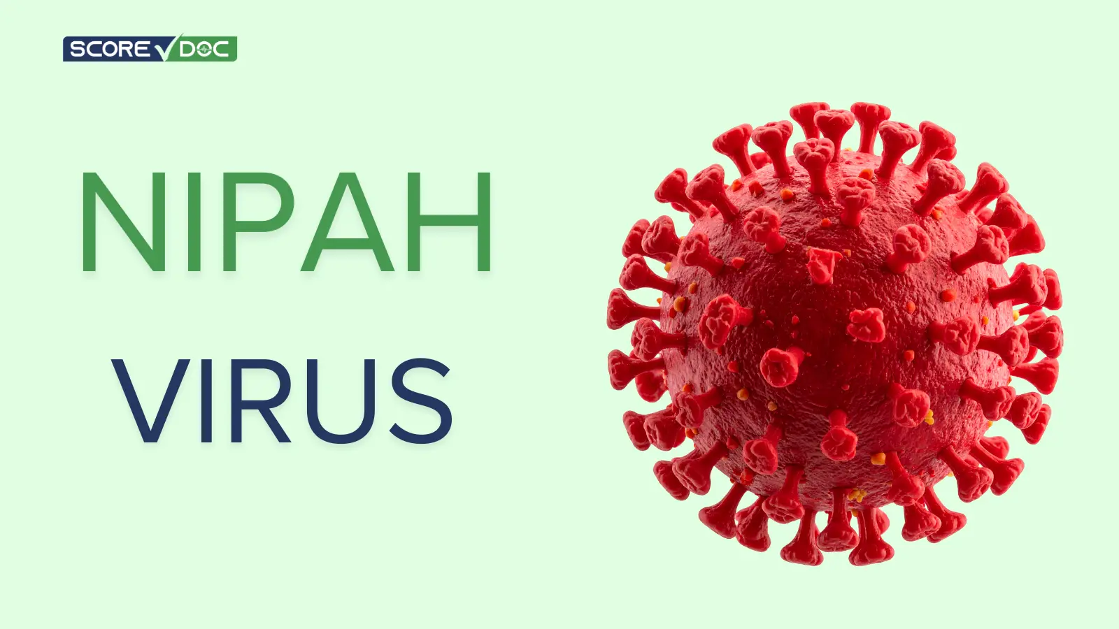 What Is the Nipah Virus? Should the USA Be Concerned?